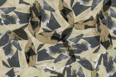 Hojas geométricas en capas de cartissi