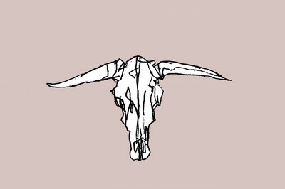 Calavera Longhorn minimalista de cartissi