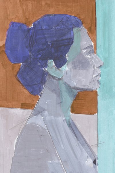 Perfil azul moderno de cartissi