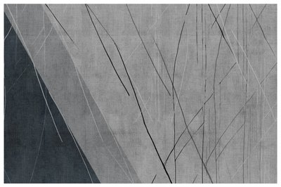 Diseño lineal moderno en gris de cartissi