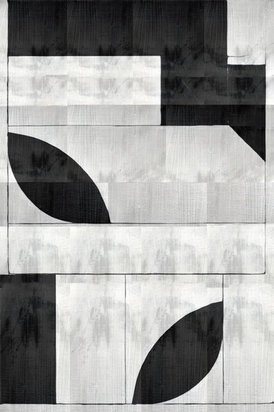 Formas orgánicas monocromáticas de cartissi