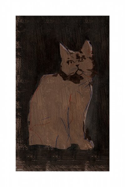 Retrato de un gato malhumorado de cartissi