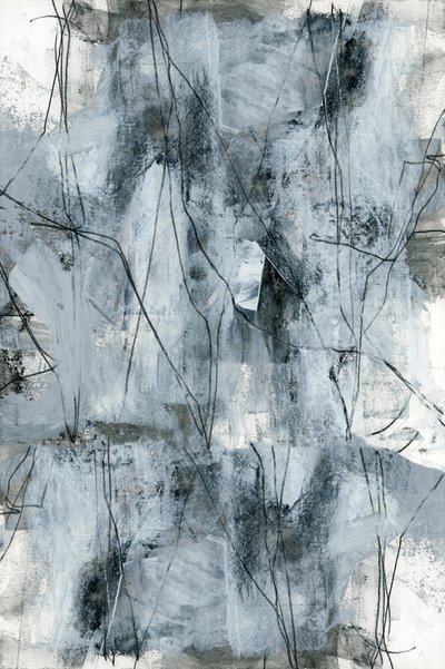 Abstracción orgánica en gris de cartissi