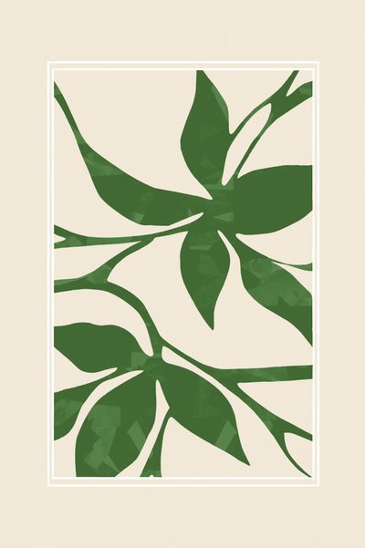 Follaje verde ecológico de cartissi