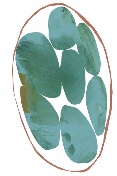 Gemas orgánicas de color verde azulado de cartissi