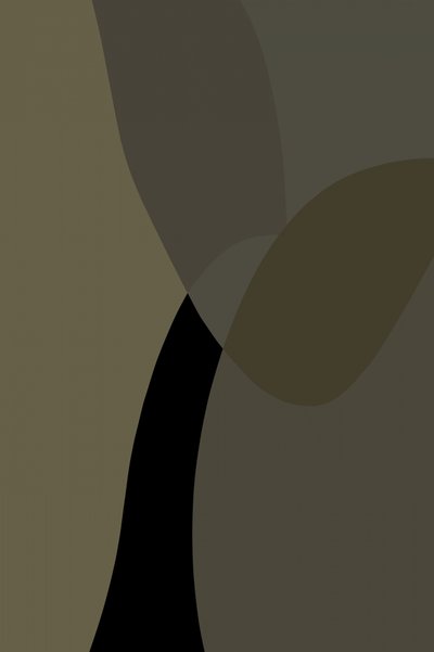Curvas abstractas suaves de cartissi