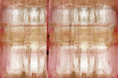 Textura suave y orgánica de cartissi