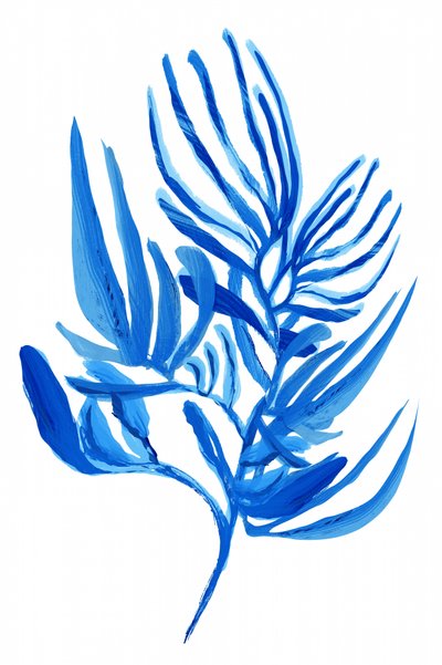 Follaje azul tropical de cartissi