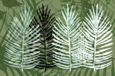 Follaje verde tropical de cartissi