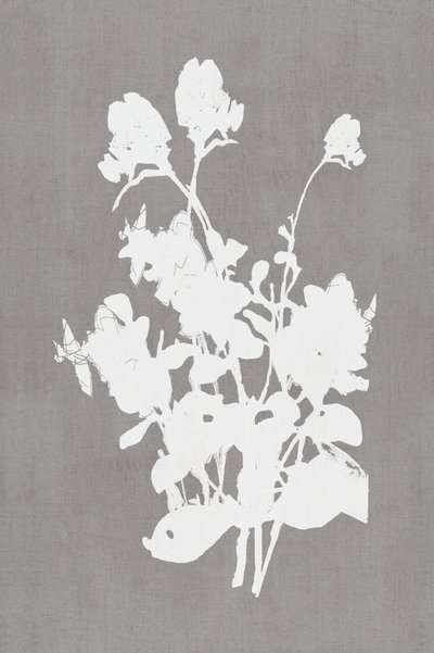 Silueta floral blanca de cartissi
