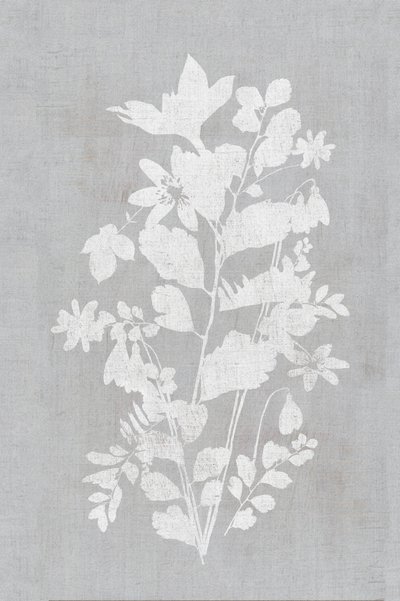 Silueta floral blanca de cartissi