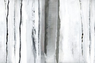 Abstracción del Bosque Blanco de cartissi