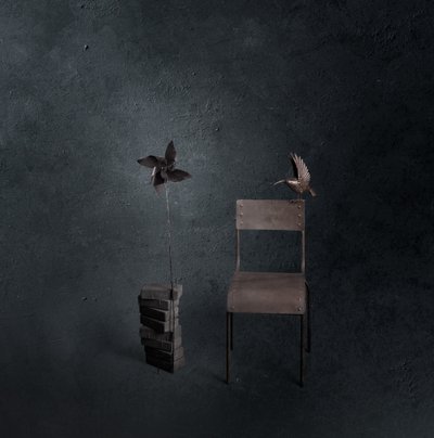 Pájaro oscuro, silla vacía de chenyi wang