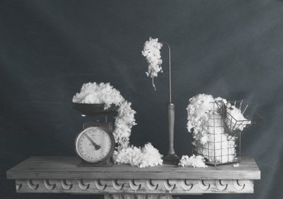 Naturaleza muerta vintage en algodón de chenyi wang