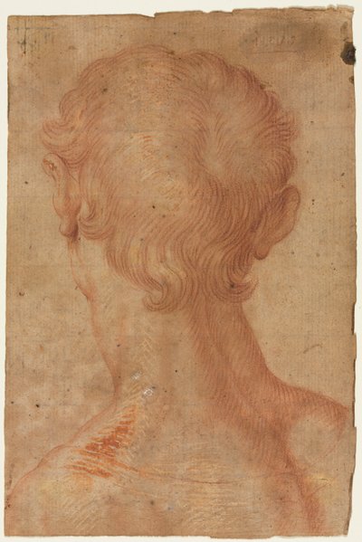 Cabeza de Hombre desde Atrás de copy after Agnolo Bronzino