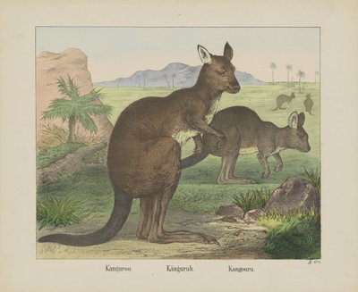 Kanguroo / Canguro / Kangouru (título en el objeto) de firma Joseph Scholz