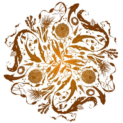 Mare marginis, 2018 (serigrafía) de julia McKenzie