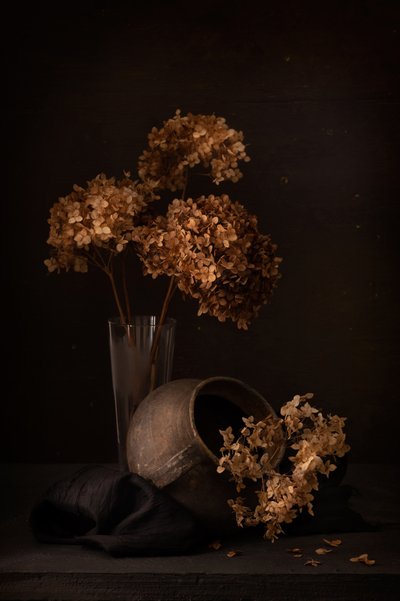 Naturaleza muerta con hortensias oscuras de magnola