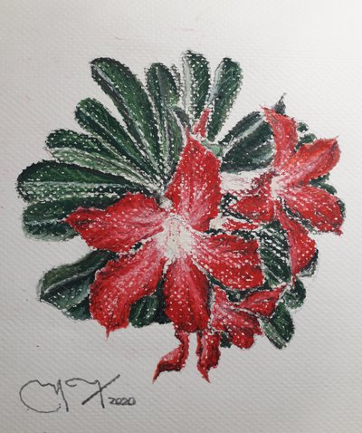 Flor del Desierto de miguelmendez_art.ve