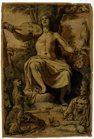 Orfeo encantando a los animales con la música de un violín. Dibujo de Federico Zuccari de or Zuccaro Federico Zuccari