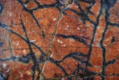 Piso de mármol, (detalle), villa de Adriano, siglo II d.C., Tívoli, Lacio, Italia de Unbekannt Unbekannt