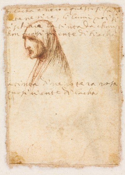 Bust-Length Profile of an Old Woman (verso) de possibly by Dosso Dossi