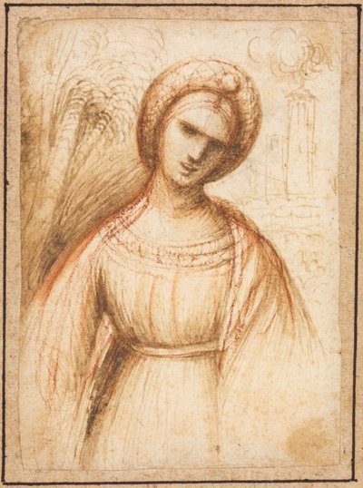 Lady in a Landscape (recto) de possibly by Dosso Dossi