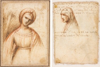 Lady in a Landscape (recto); Bust-Length Profile of an Old Woman (verso) de possibly by Dosso Dossi