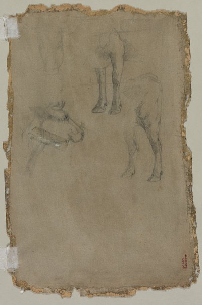 Estudios de un toro (verso) de possibly by Johan Barthold Jongkind