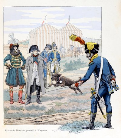 Ilustración del libro “A la gloire des betes”: El caniche Moustache presentado al Emperador (Napoleón I) de pseudonym for Onfray de Breville Jacques Job