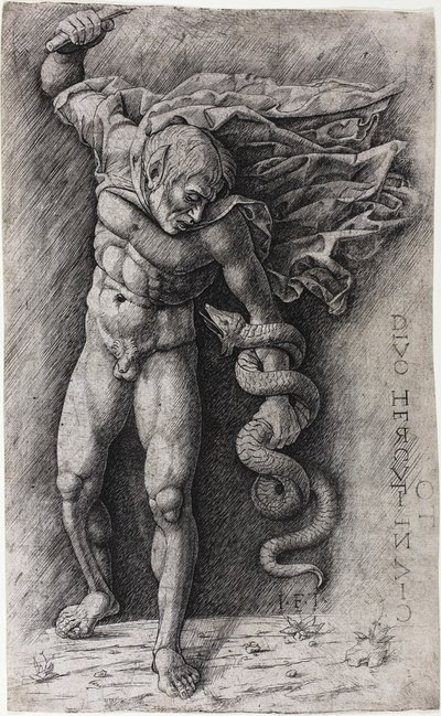 Fauno atacando a una serpiente de school of Andrea Mantegna