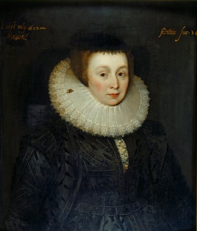 Retrato de Lady Emily Howard, principios del siglo XVII de the Younger School of Marcus Gheeraerts