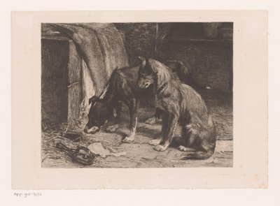 Dos perros en una trampa para ratas de van den Eyken (attributed to)