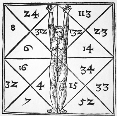 Las Proporciones Del Hombre Y Sus Numeros Ocultos