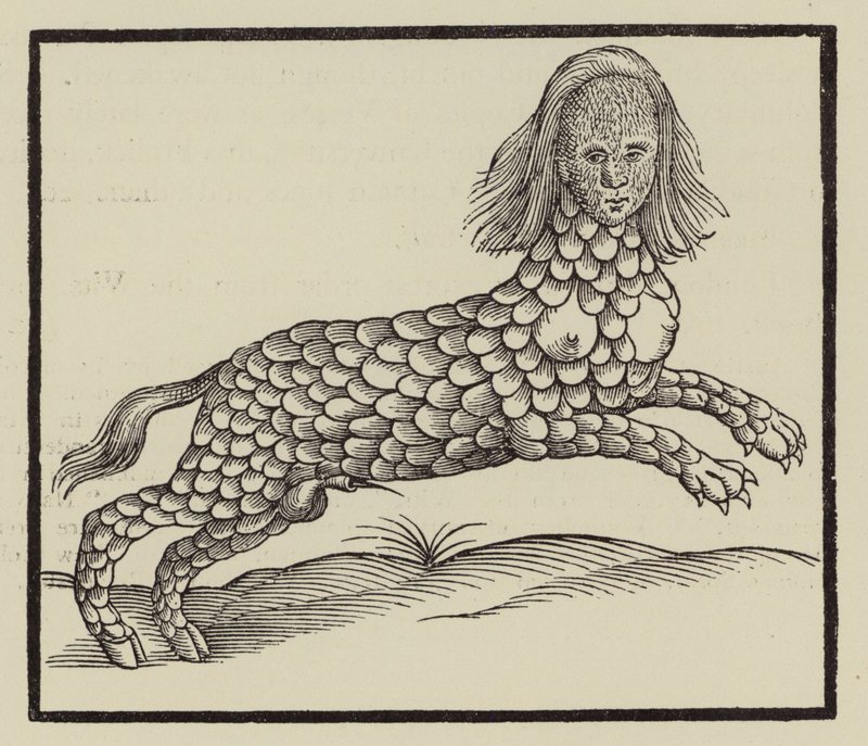 Criatura de cuatro patas con el cuerpo cubierto de escamas (grabado) de (after) English School