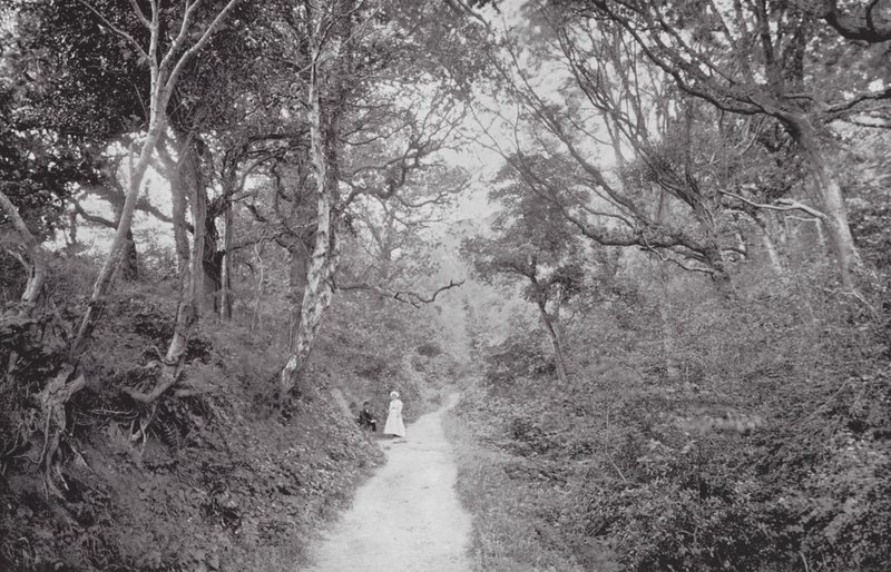 Fairlight Glen (foto b/n) de (after) English photographer
