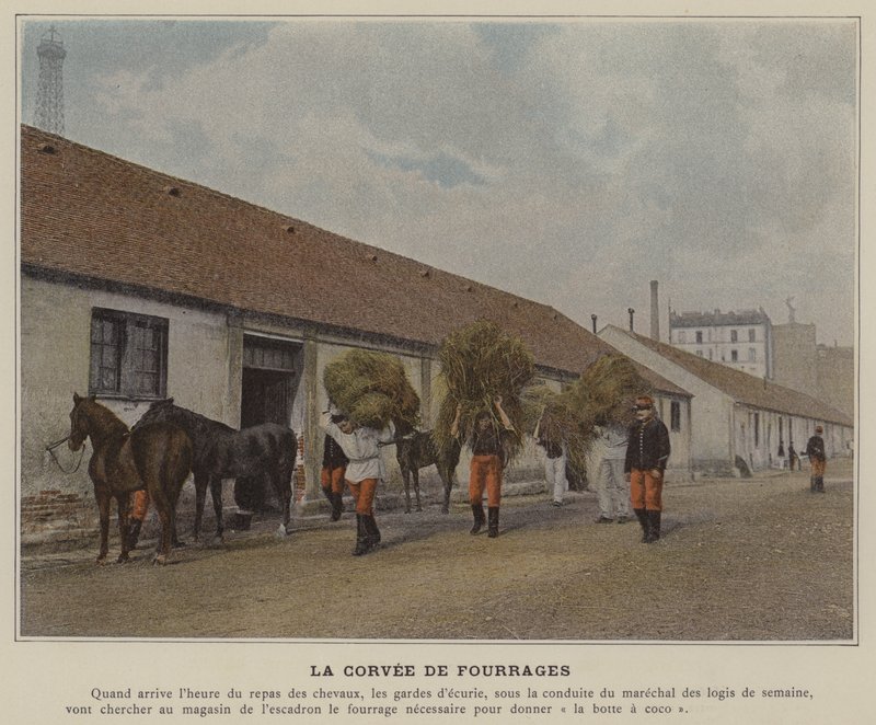 La corvea de forraje de (after) French Photographer
