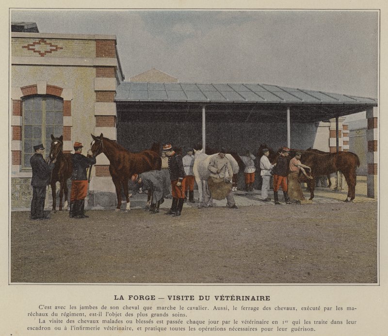 La forja, visita del veterinario de (after) French Photographer