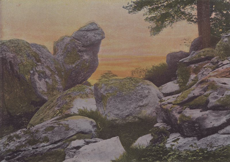 Rochers du mont Ussy de (after) French Photographer