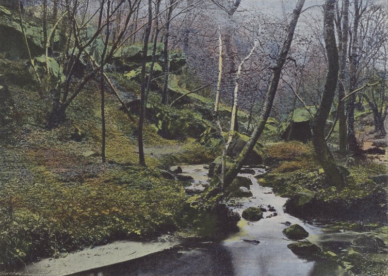 Vaux de Cernay, Las Cascadas de (after) French Photographer