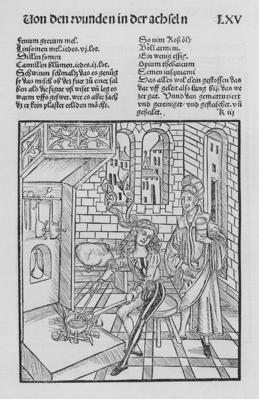 El libro de Cirurgia de Hieronymus Brunschwig de (after) German School