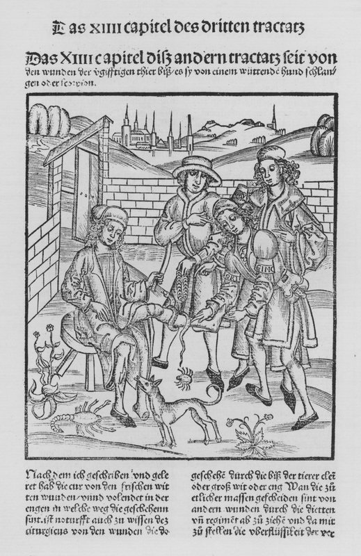 El libro de Cirurgia de Hieronymus Brunschwig de (after) German School