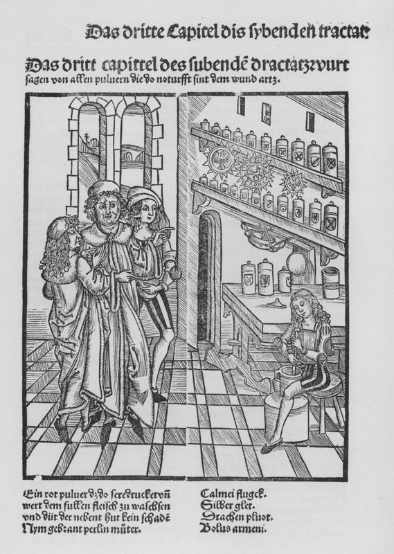 El libro de Cirugía de Hieronymus Brunschwig de (after) German School