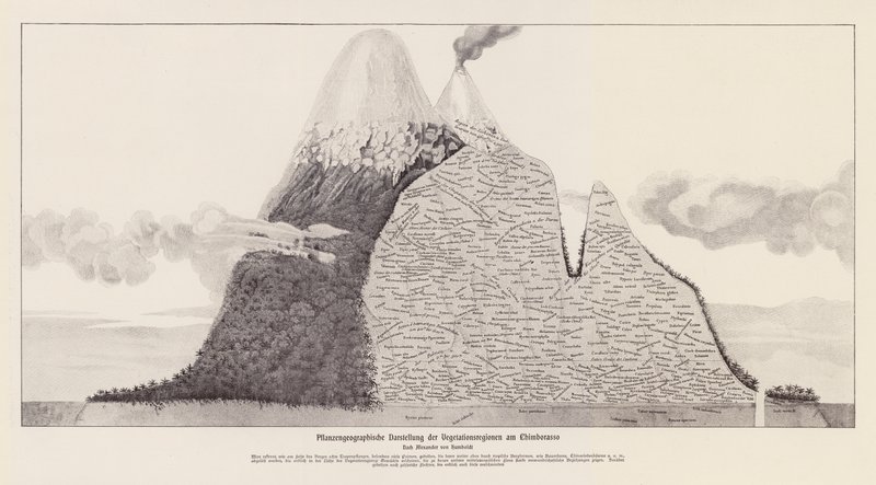 Regiones de vegetación del Chimborazo, Ecuador (litografía) de (after) German School