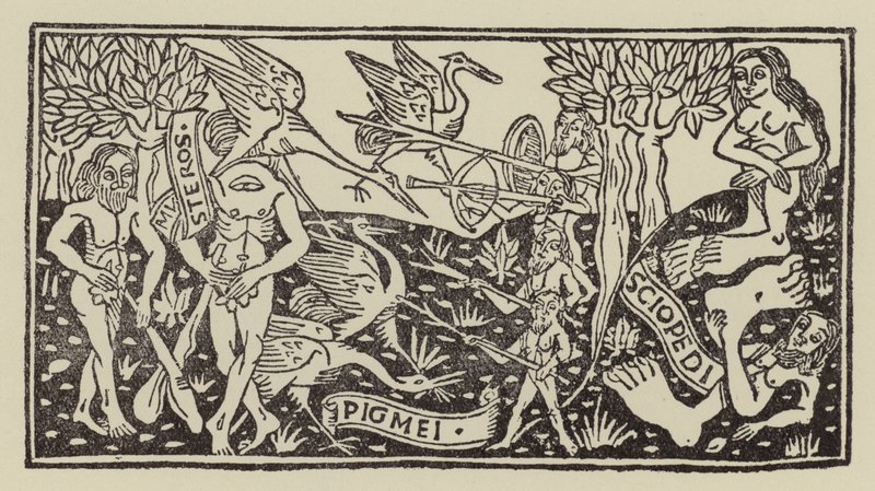 Hombres fabulosos y monstruos de las Indias (xilografía) de (after) Italian School