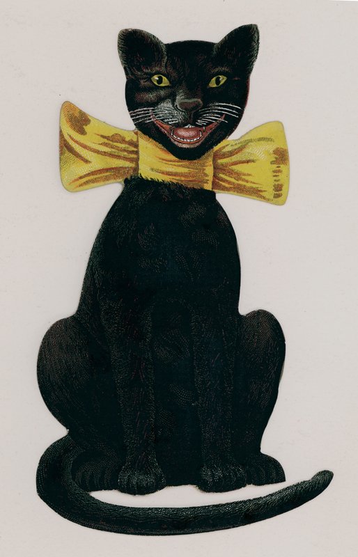 Gato negro con un lazo amarillo de American School