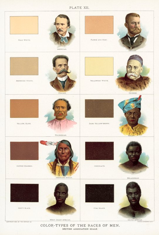 Tipos de color de las razas humanas, escala de la Asociación Británica de American School
