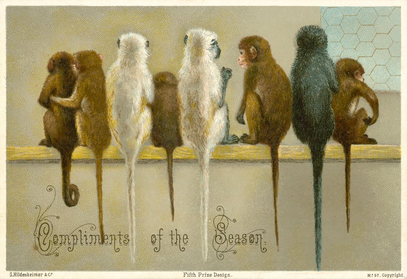 Tarjeta de felicitación de American School