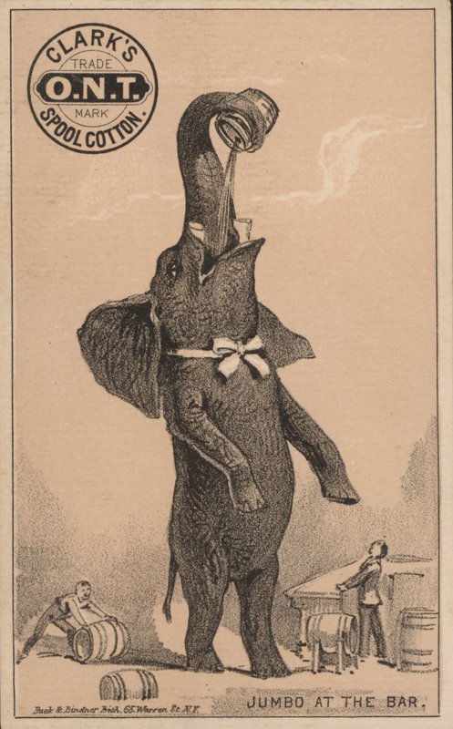 Llegada de Jumbo, anuncio de algodón de carrete Clarks, con el famoso elefante de circo de P T Barnum de American School