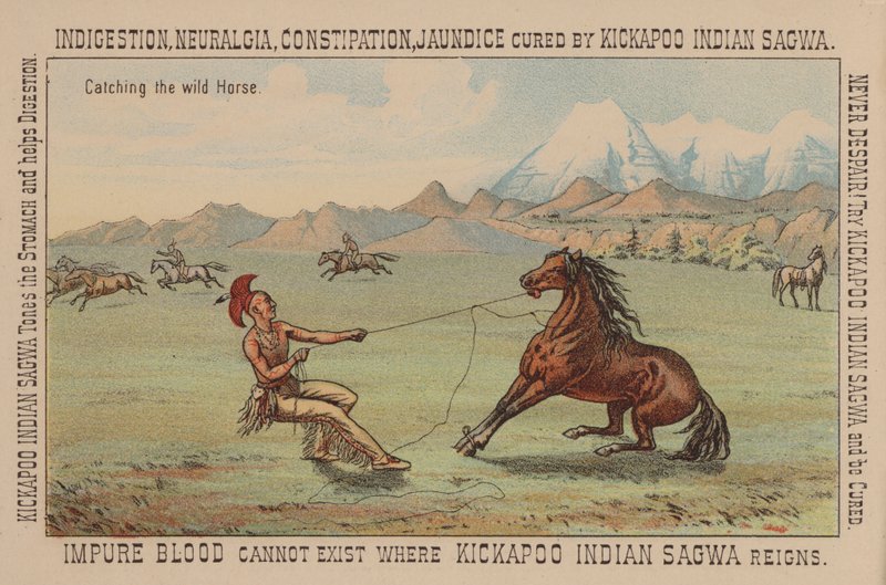 Nativo americano capturando un caballo salvaje de American School